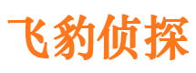 新民婚外情调查取证